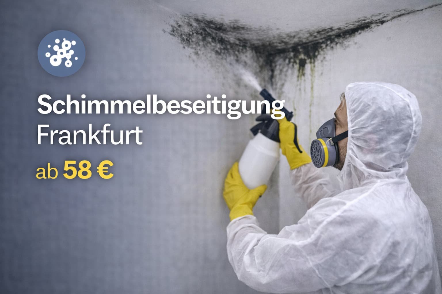Schimmelbeseitigung Frankfurt
