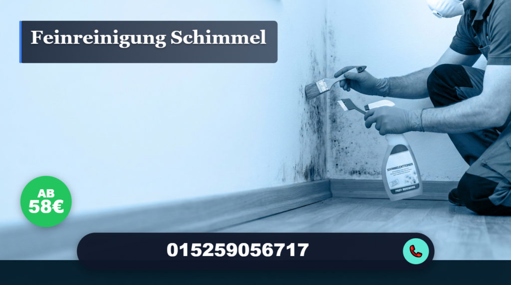Feinreinigung Schimmel