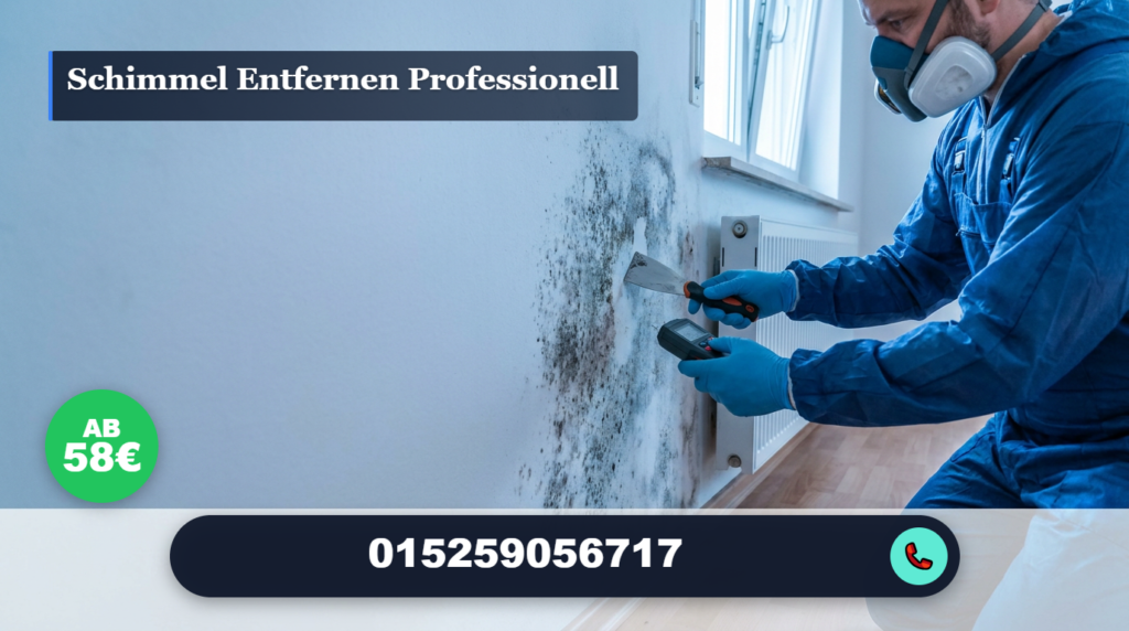 schimmel entfernen professionell
