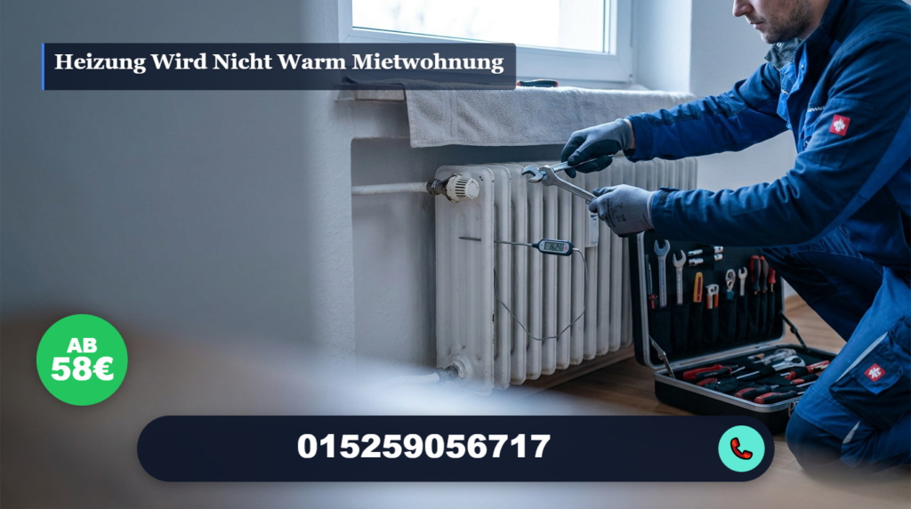 heizung wird nicht warm mietwohnung